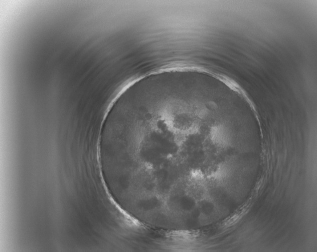 X0000061730855200512050931