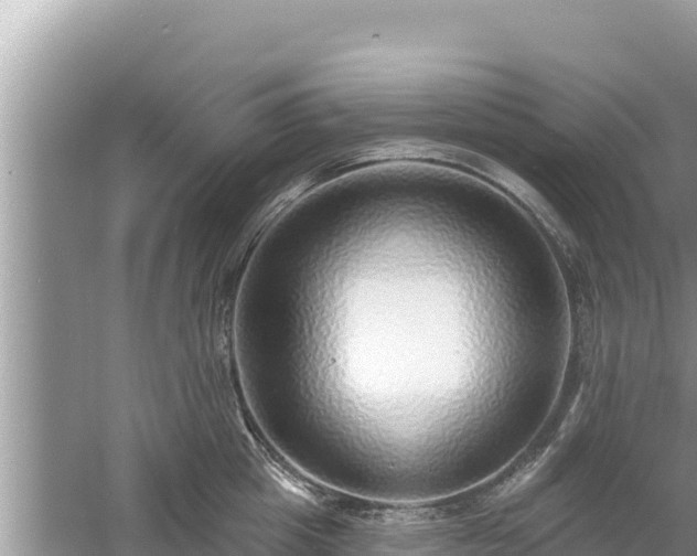 X0000061730857200512050931