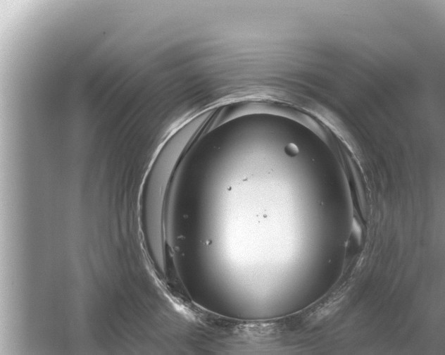 X0000061730858200512050931