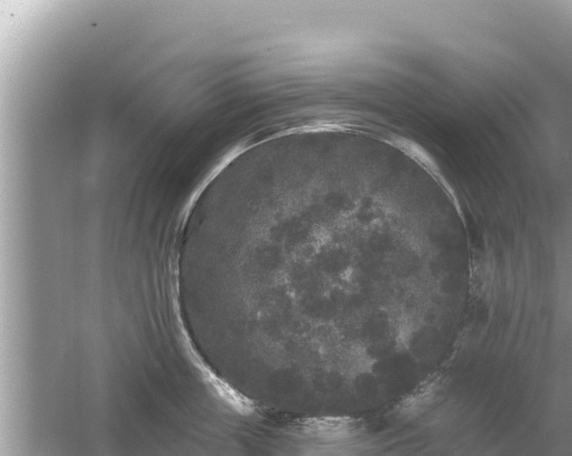 X0000061730859200512050931