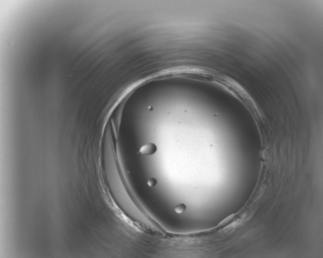 X0000061730860200512050932