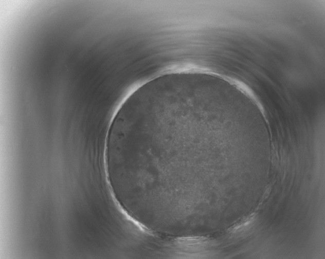 X0000061730863200512050932