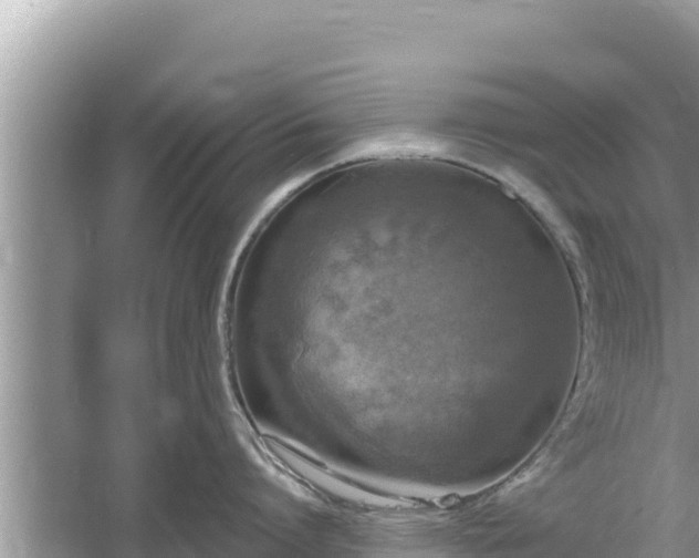 X0000061730864200512050932