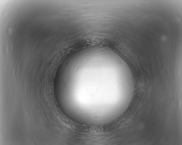 X0000061730865200512050931