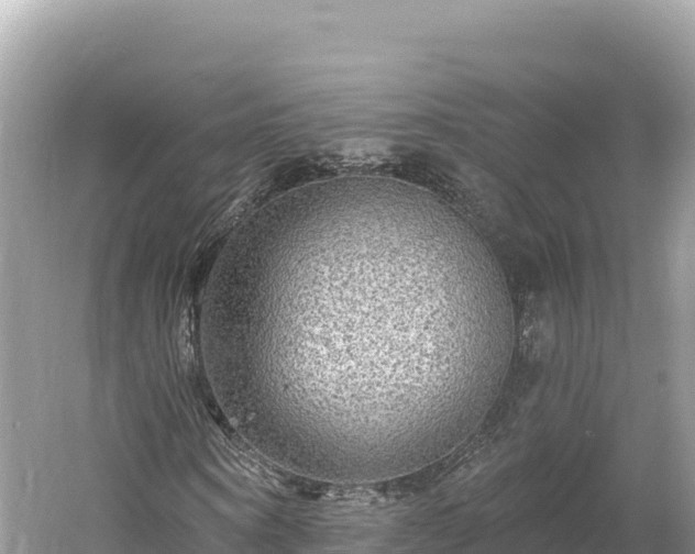 X0000061730866200512050931