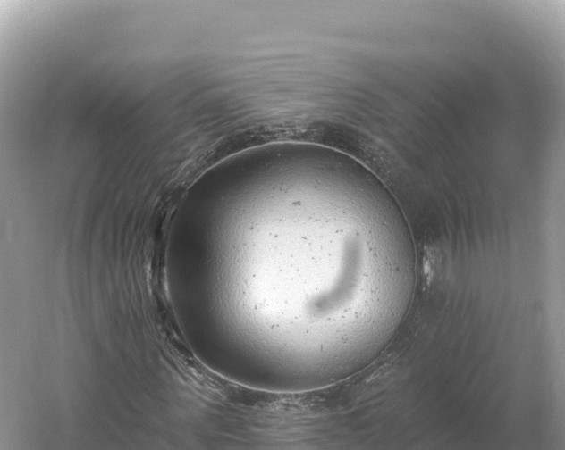 X0000061730867200512050931