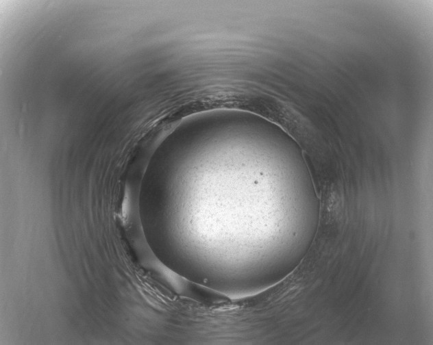 X0000061730868200512050931