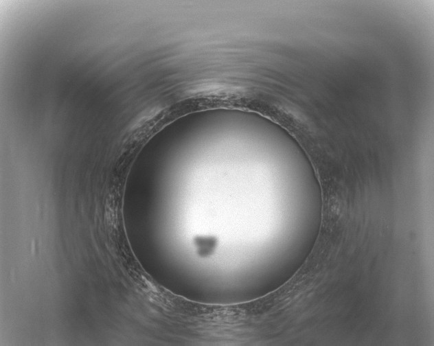 X0000061730869200512050931