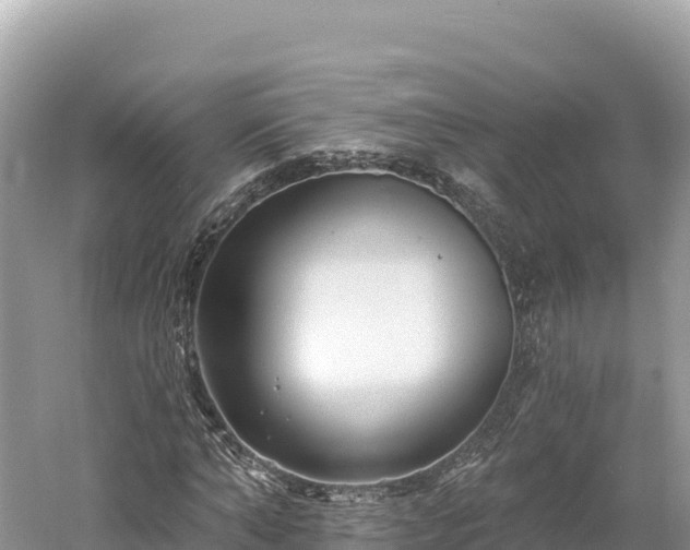 X0000061730870200512050931