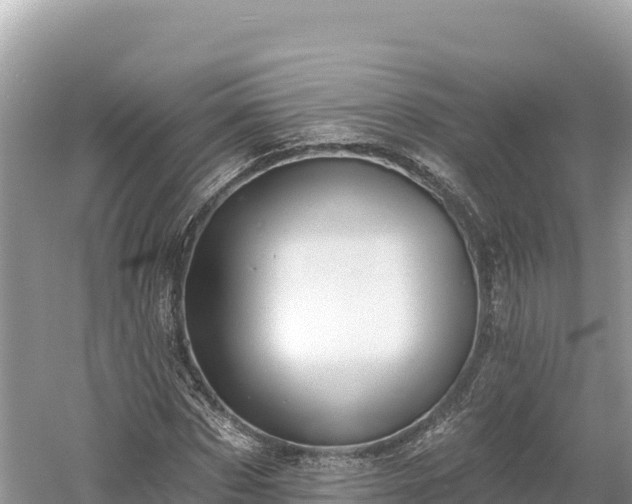 X0000061730873200512050931