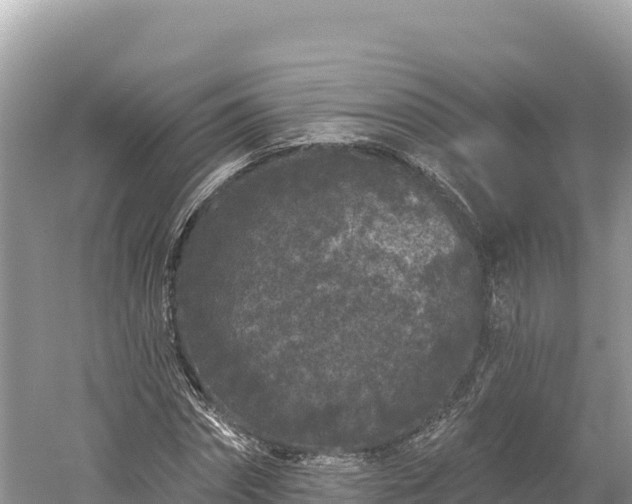 X0000061730874200512050931