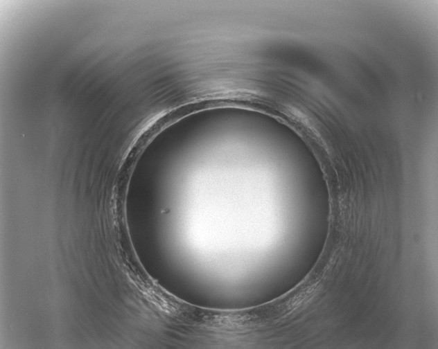 X0000061730875200512050931