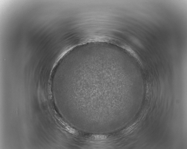 X0000061730878200512050931