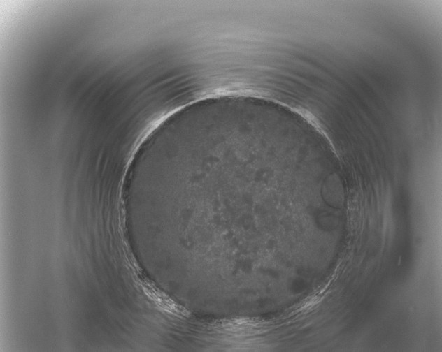 X0000061730879200512050931