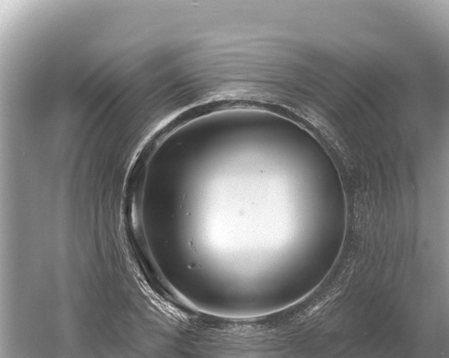 X0000061730880200512050930