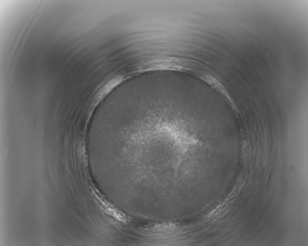 X0000061730882200512050930