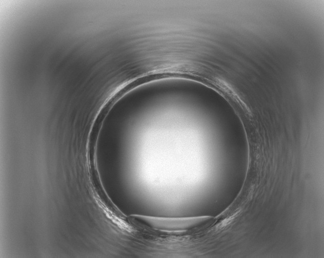 X0000061730884200512050930