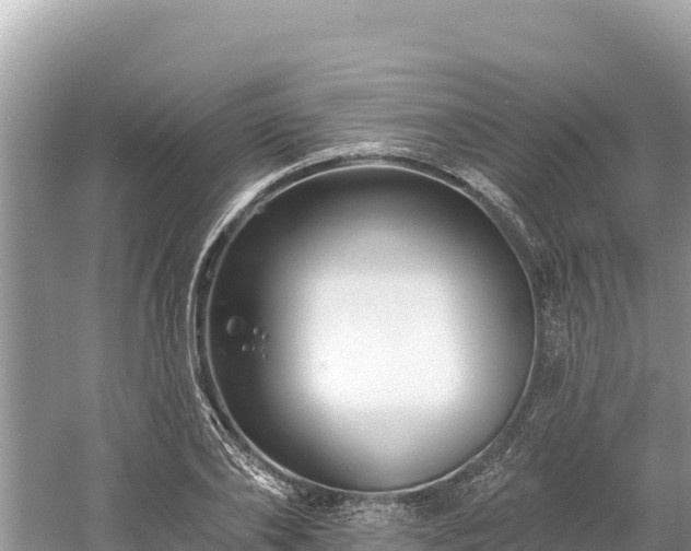 X0000061730886200512050930