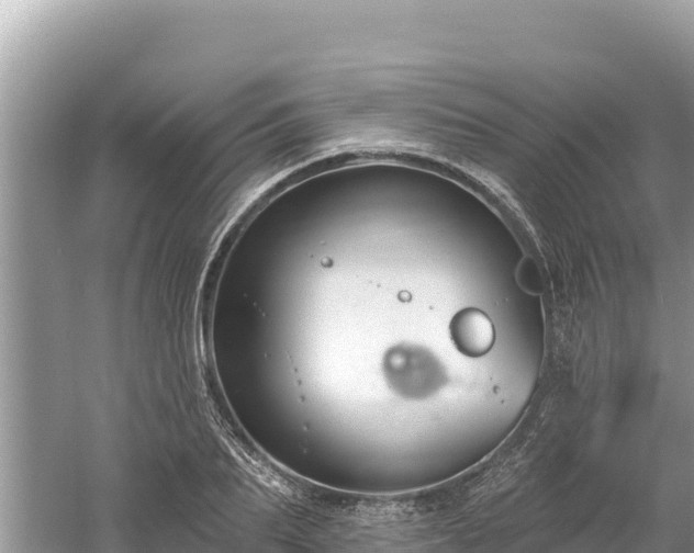 X0000061730887200512050930