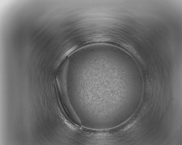 X0000061730889200512050930