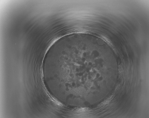 X0000061730891200512050930