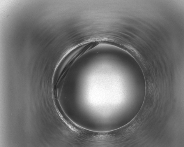 X0000061730894200512050930