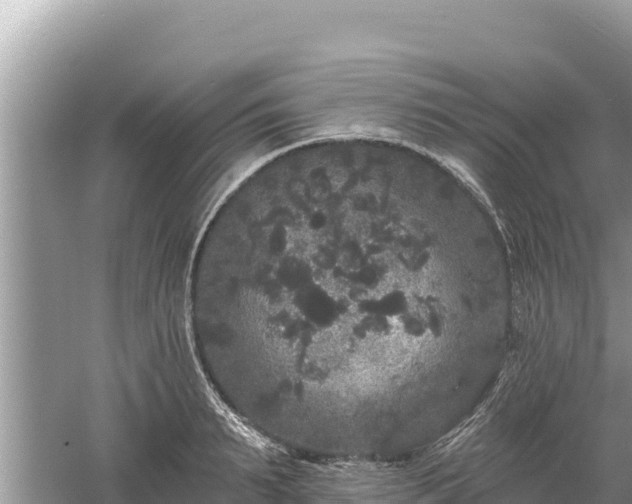 X0000061730895200512050930