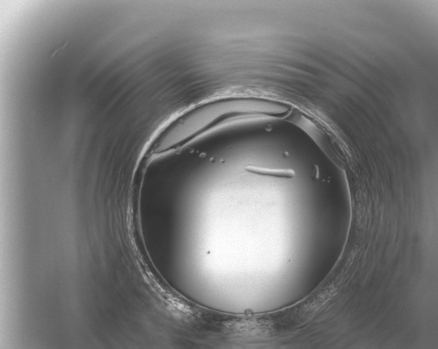 X0000061730896200512050930