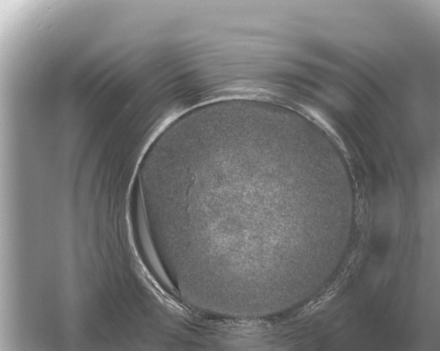 X0000061730899200512050930