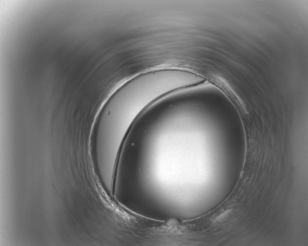 X0000061730900200512050930