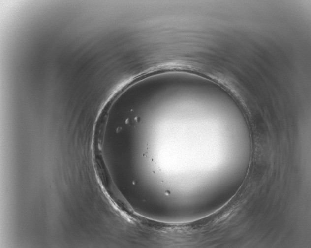 X0000061730902200512050930