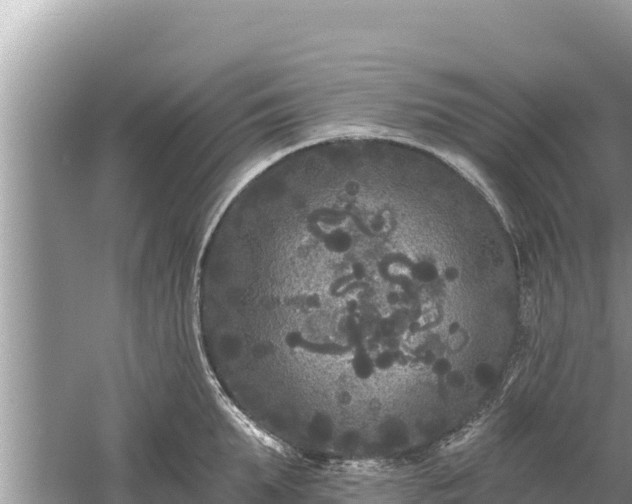 X0000061730903200512050930