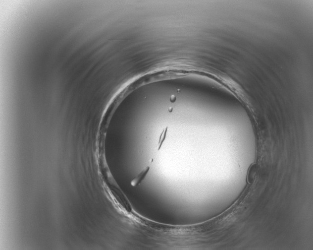 X0000061730904200512050930