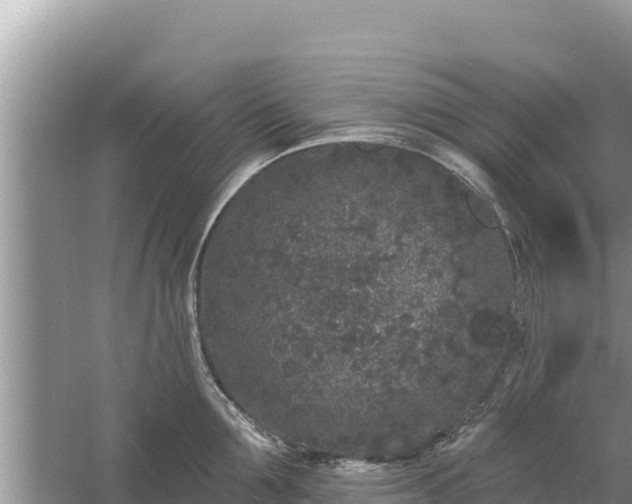 X0000061730907200512050930