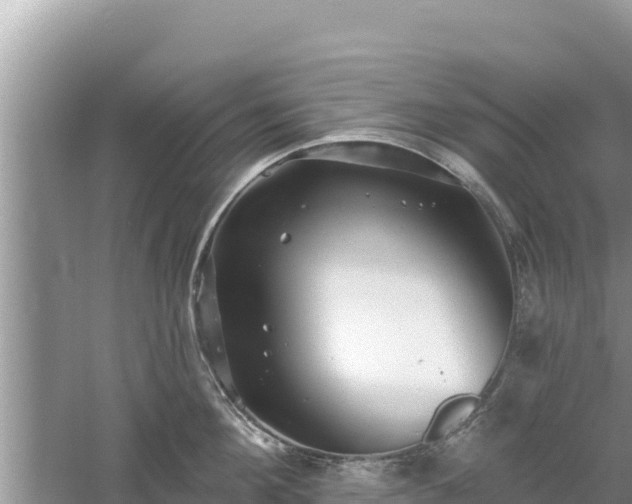 X0000061730908200512050930