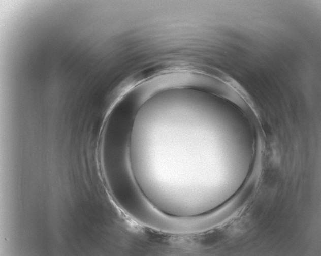 X0000061730909200512050930