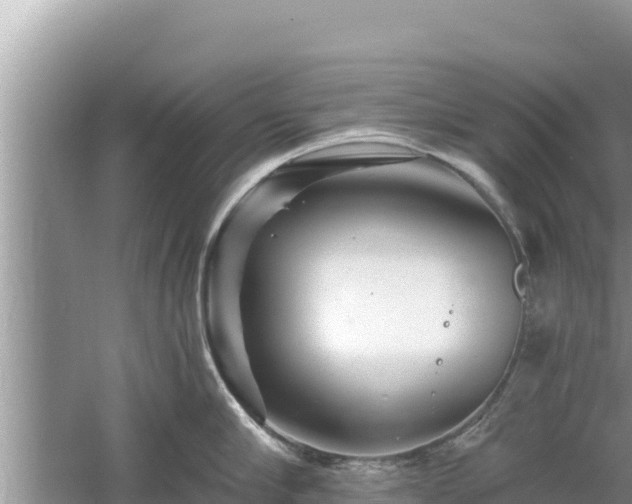 X0000061730910200512050930