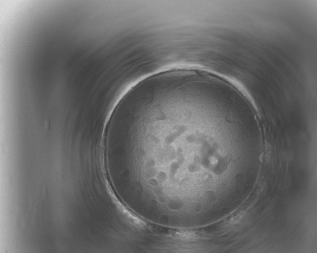 X0000061730911200512050930