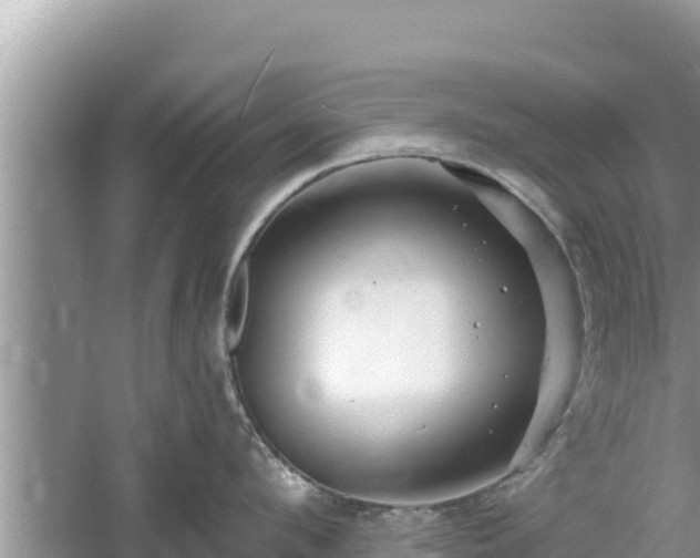 X0000061730912200512050930