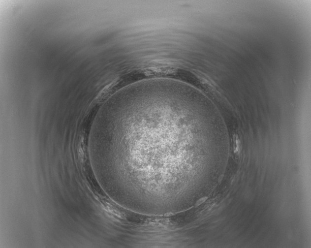 X0000061730915200512050929