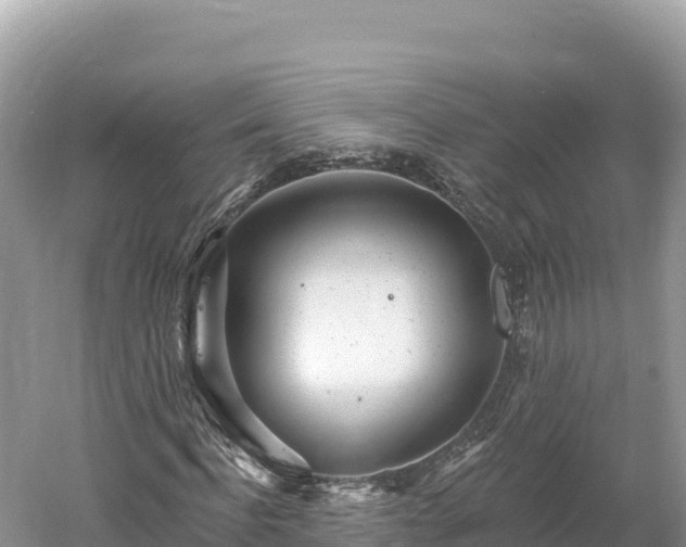 X0000061730916200512050929