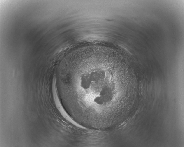 X0000061730917200512050929