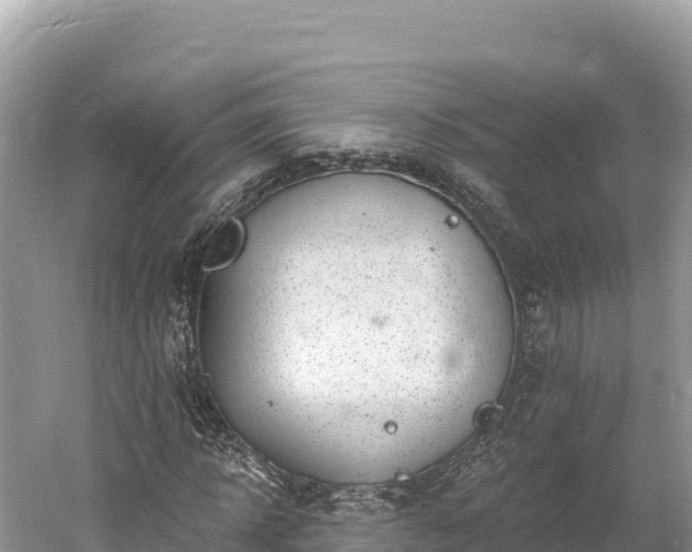 X0000061730918200512050929