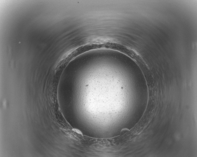 X0000061730919200512050929