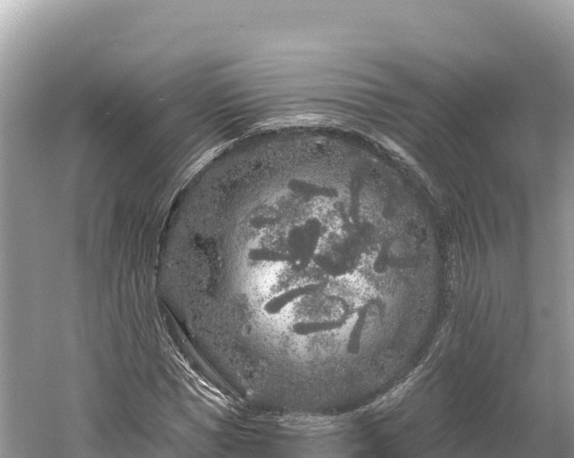 X0000061730921200512050929