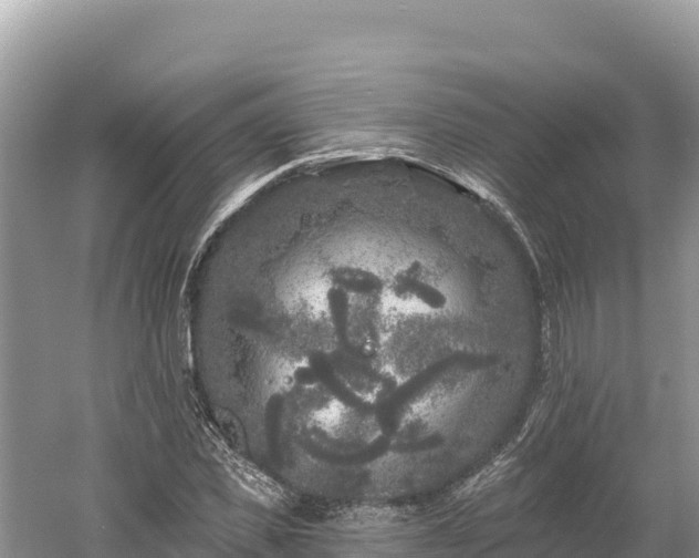 X0000061730925200512050929