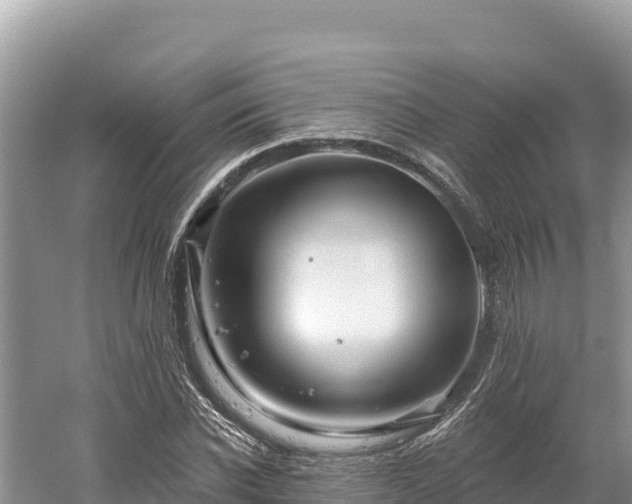 X0000061730926200512050929