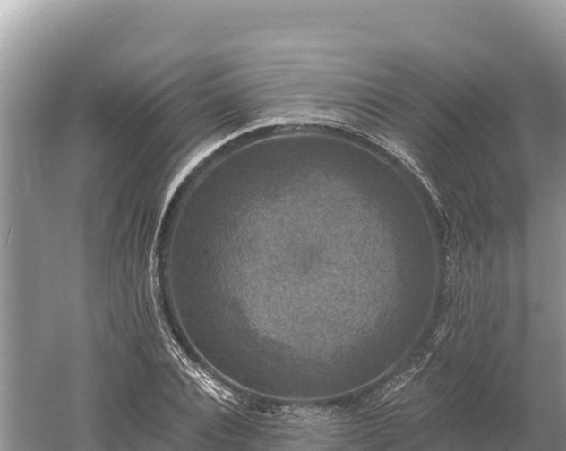 X0000061730928200512050929