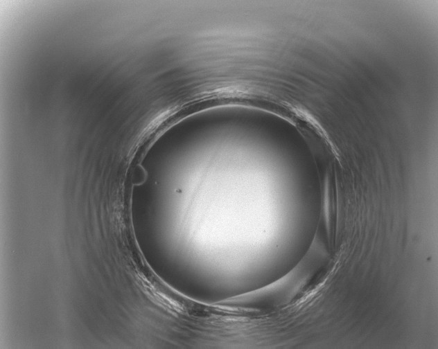 X0000061730930200512050929