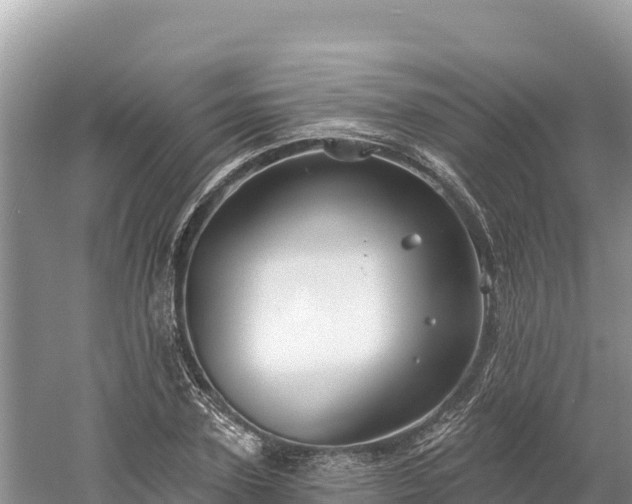 X0000061730931200512050929